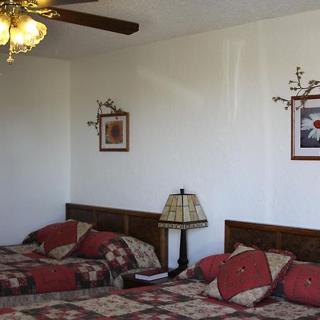 Sleep For Less Motel Sidney Extérieur photo